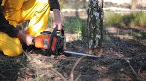 Best Lawn Mowing  in Aldine, TX