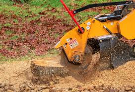 Best Tree Maintenance Programs  in Aldine, TX
