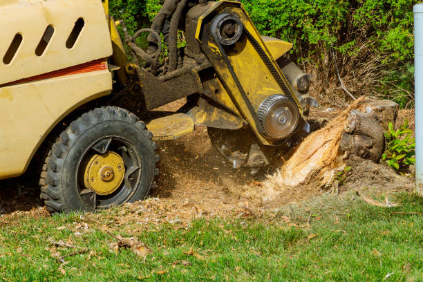 Best Soil Testing and Treatment  in Aldine, TX