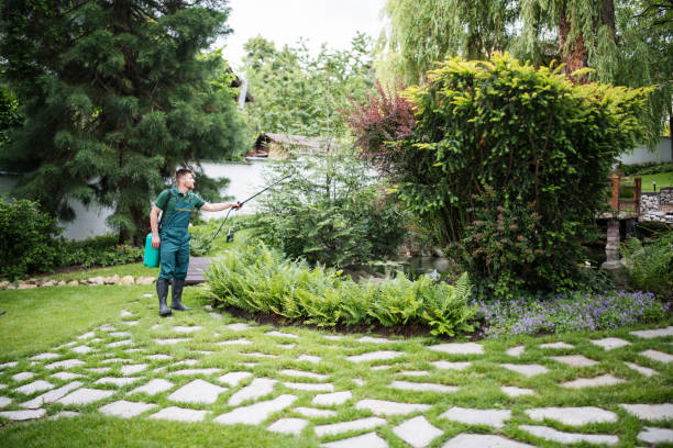 Best Tree Mulching  in Aldine, TX